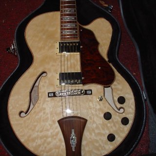 Photo of Ibanez closet dweller
