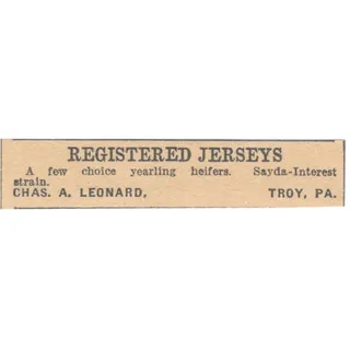 Photo of Chas. A. Leonard Registered Jerseys Troy PA 1922 Magazine Ad AF2-T2
