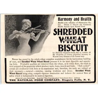 Photo of Shredded Wheat Biscuit Violin c1905 Original Magazine Advertisement AE7-A1