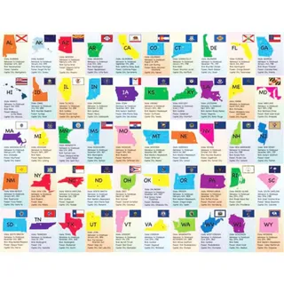 Photo of PuzzleBug 2 -Sided USA Map Learning Puzzle