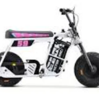 Photo of Mini Bike Complete Wiring & Control Kit – Ready to Install