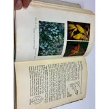 Listing Photo Thumb #7