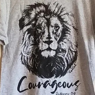 Photo of Grey Courageous Lion T-shirt - Small