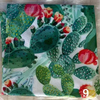 Photo of Pet Dog Cat Bandanas Small Tropical Theme Fruit Cactus Floral NEW