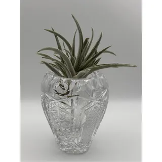 Photo of Large Sparkly Vintage Lead Clear Cut Crystal Air Plant Holder, Tooth Pick Holder