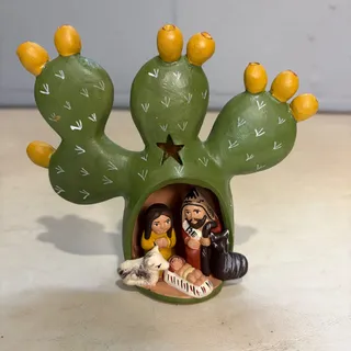 Photo of Cactus nativity