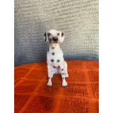 Listing Photo Thumb #3