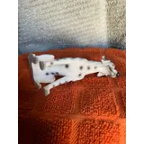 Listing Photo Thumb #5