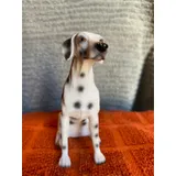 Listing Photo Thumb #8