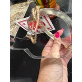 Listing Photo Thumb #4