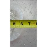 Listing Photo Thumb #5