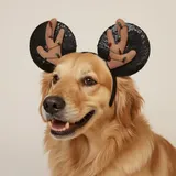Listing Photo Thumb #1