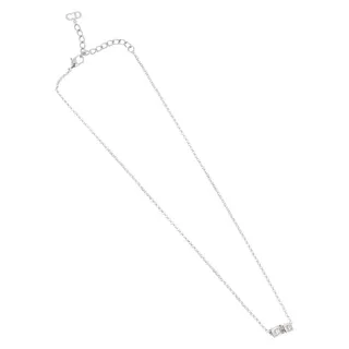 Photo of Dior Necklace Metal Silver