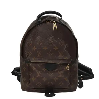 Photo of Louis Vuitton Monogram Palm Springs PM Backpack Brown