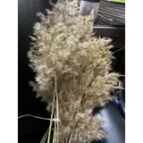 Listing Photo Thumb #1