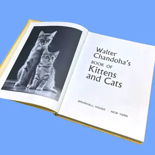 Photo of Vintage 1963 Walter Chandoha Book of Kittens and Cats Hardcover Photography