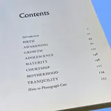 Listing Photo Thumb #4