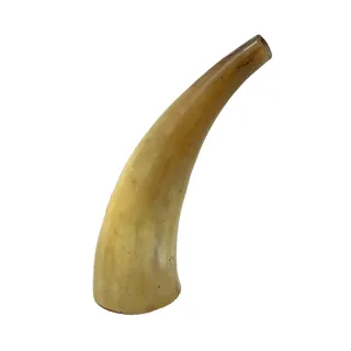 Photo of Polished Bovine Horn Blowing Horn Primitive Decor 8.5"