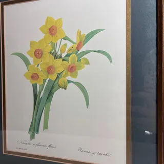 Photo of Pierre Joseph Redoute Botanical Print Framed Cottagecore Vintage Farmhouse Decor