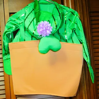 Photo of Hyde & Eek Toddler Potted Cactus Costume Size 4–5T Hooded Pullover Halloween