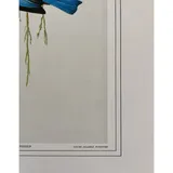 Listing Photo Thumb #6