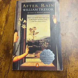 Photo of After Rain : Stories by William Trevor (1997, Uk-B Format Paperback)