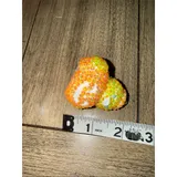 Listing Photo Thumb #7