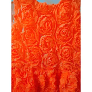Photo of Cherokee Coral Orange 2T Rose Applique Dress