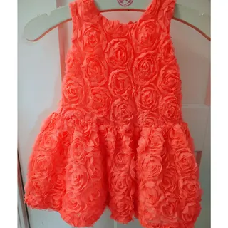 Photo of Cherokee Coral Orange 2T Rose Applique Dress