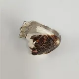 Listing Photo Thumb #5