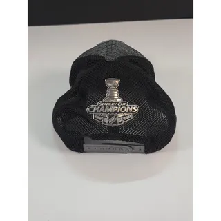 Photo of St. Louis Blues 2019 Stanley Cup Champions Fanatics Authentic Pro Snapback Hat