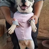 Listing Photo Thumb #2