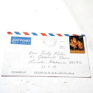Photo of New Zealand 2002 $2.00 Ramaria aureorhiza Fungi Stamp Airmail Cover to USA