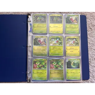 Photo of Pokemon TCG Master Set Bundle – Chaos Rising Complete (001–086) + Perfect Order – Near Mint w/ Binder