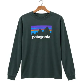 Photo of Patagonia Fitz Roy Logo Long Sleeve T-Shirt Green EUC Size Large
