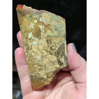 Photo of Oregon Picture Jasper Slab Specimen (1.9oz)