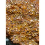 Listing Photo Thumb #8