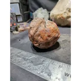 Listing Photo Thumb #4