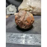 Listing Photo Thumb #5