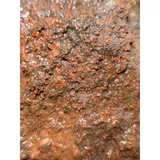 Listing Photo Thumb #5