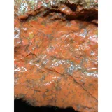 Listing Photo Thumb #6