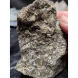 Listing Photo Thumb #1