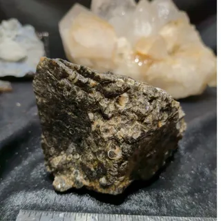 Photo of Turritella Agate w/ Crystallization Specimen Natural Form (1lb 6oz) 