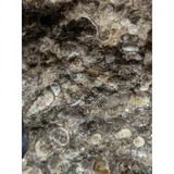 Listing Photo Thumb #6