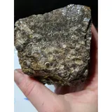Listing Photo Thumb #8