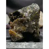 Listing Photo Thumb #5