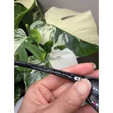 Listing Photo Thumb #6