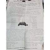 Listing Photo Thumb #6