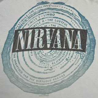 Photo of Vintage 2003 Nirvana Vestibule Big Print Band Tee