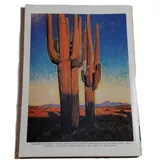 Listing Photo Thumb #8